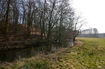 Der Talrand und die Sandkuppen sind überwiegend von Laubwäldern bewachsen. 